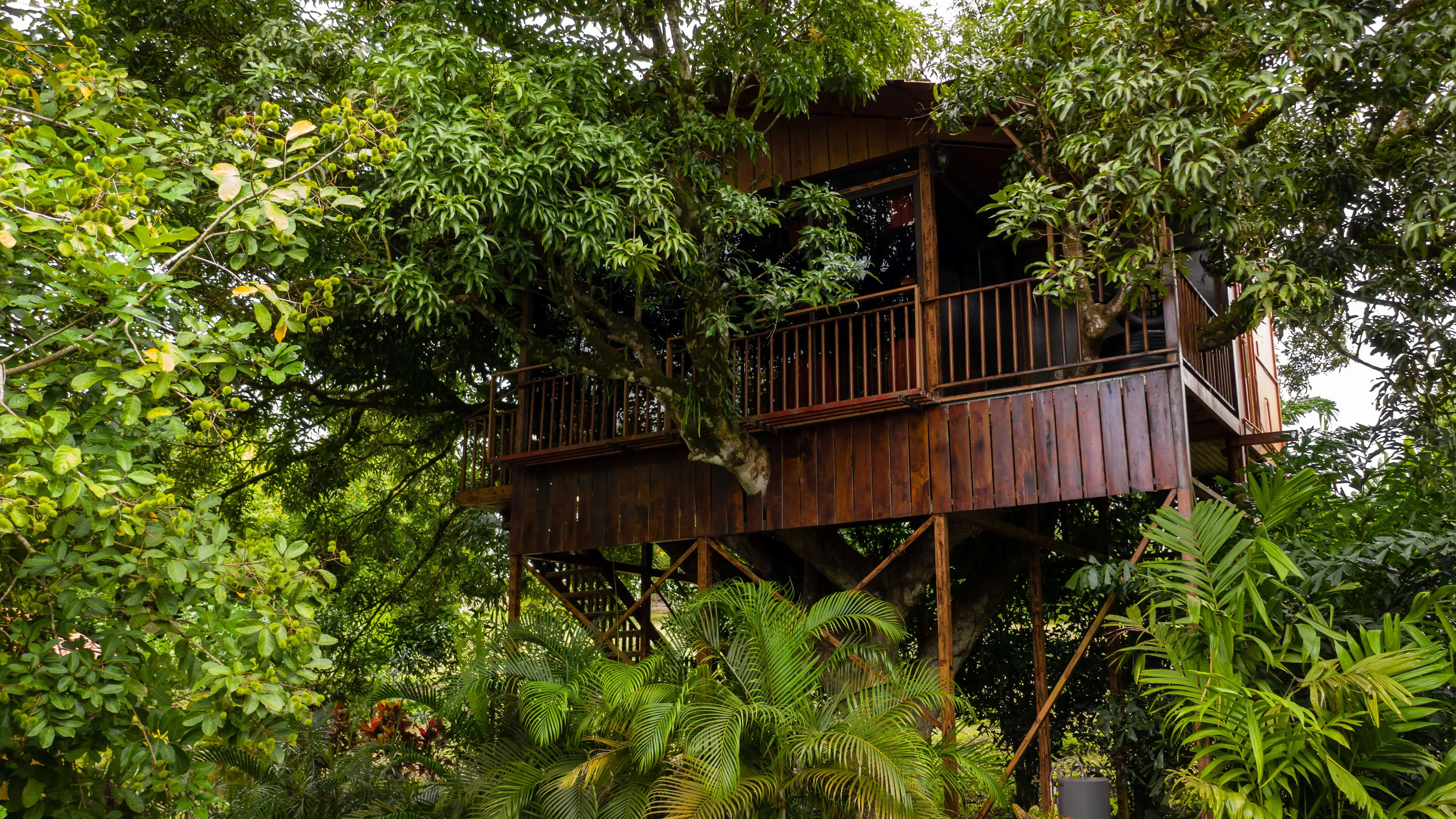 Heliconias Lodge